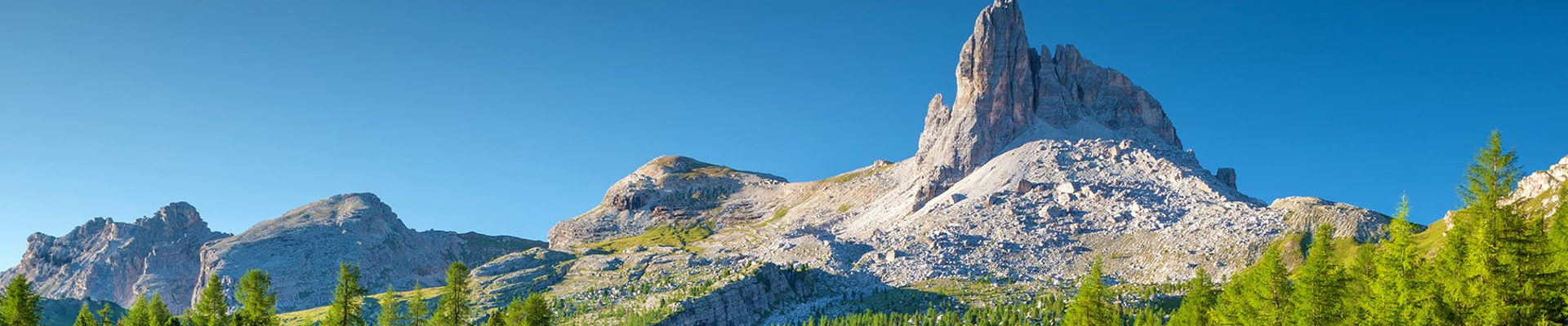 新聞動態(tài)-2